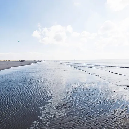 With Terrace In A Appartement *