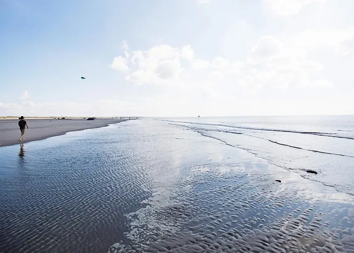 With Terrace In A Apartment *